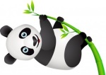 google panda update